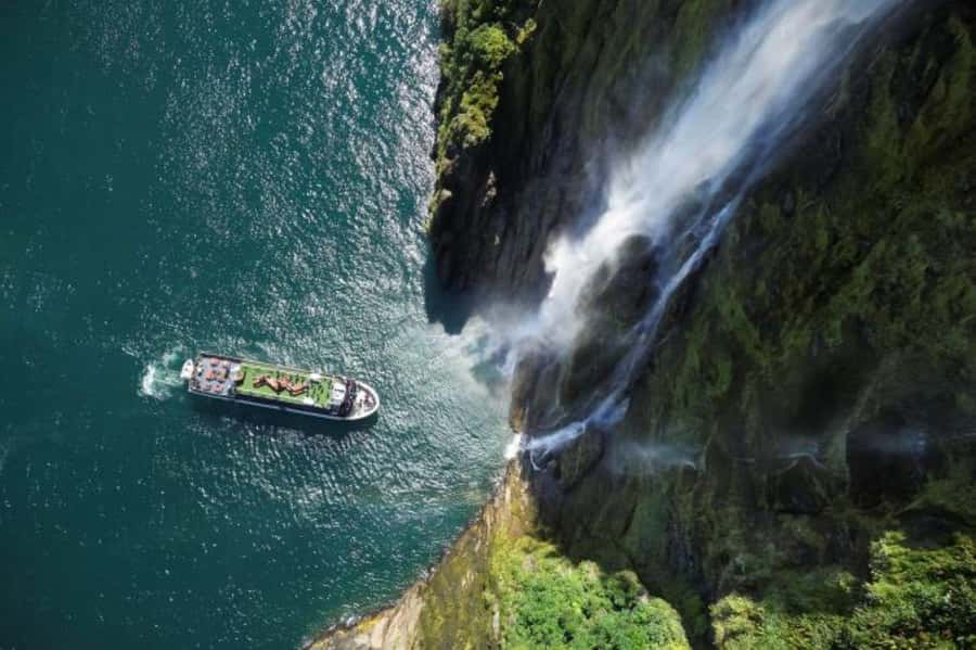 From Te Anau: Milford Sound Cruise and Coach Day Trip - The guides are a major part of the value