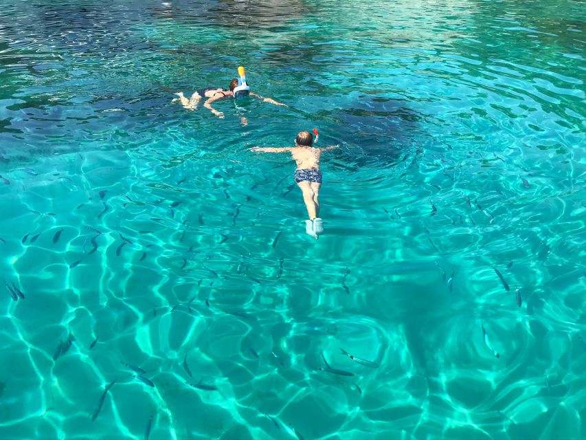 From Trogir: Three Islands Half-Day Speedboat Tour - Guides, communication, and family comfort