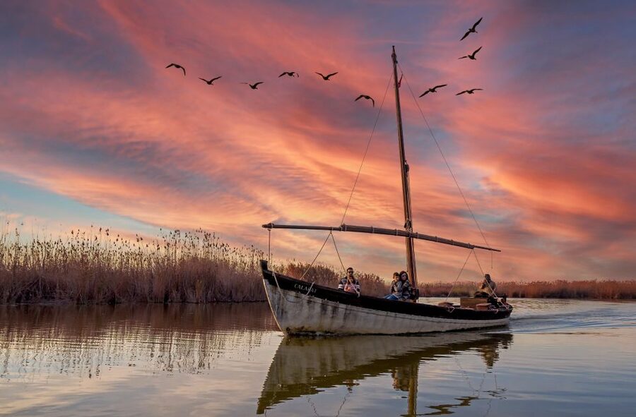 From Valencia: Albufera Natural Park Eco Boat Tour & Sunset - El Saler beach and the Mediterranean edge