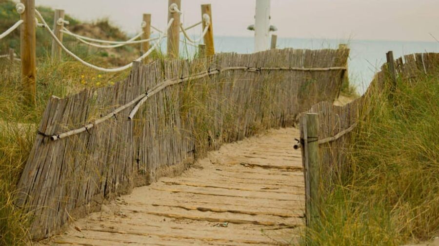 From Valencia: Albufera Natural Park Eco Boat Tour & Sunset - Is $69 good value?