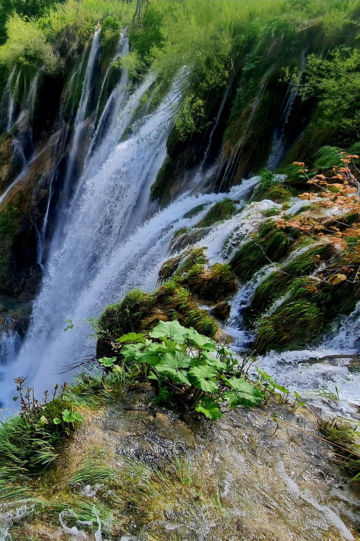 From Zadar: Plitvice Lakes Day Trip with Guide and Boat Tour - Four Hours Among 16 Lakes and Waterfalls