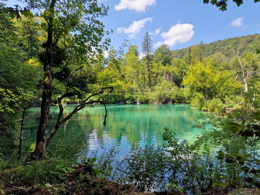 From Zadar: Plitvice Lakes Day Trip with Guide and Boat Tour - Is the Walking Manageable?