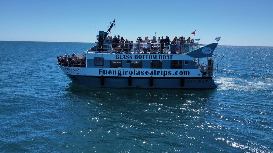 Fuengirola: Catamaran Tour to Spot Dolphins - Key points to know before you sail