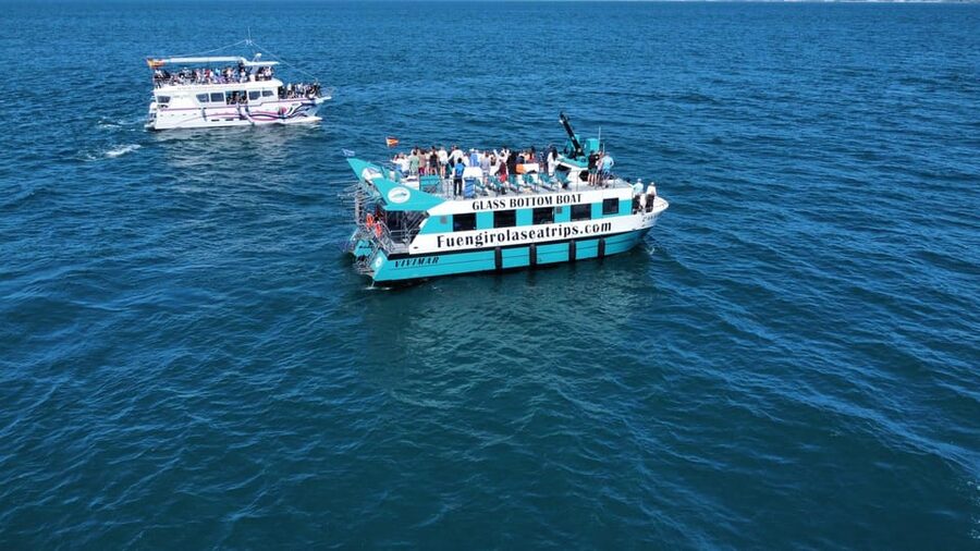 Fuengirola: Catamaran Tour to Spot Dolphins - Watching a pod from the boat