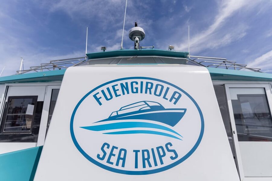 Fuengirola: Catamaran Tour to Spot Dolphins - The final hour and the return to Fuengirola