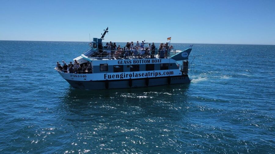 Fuengirola: Catamaran Tour to Spot Dolphins - Who will enjoy this two-hour outing?