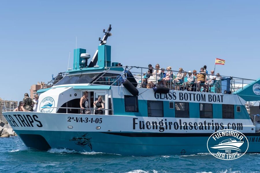 Fuengirola: Catamaran Tour to Spot Dolphins - The first 45 minutes: searching the Mediterranean