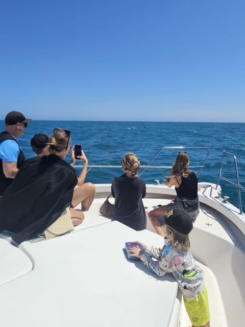Fuengirola: Dolphin Watching Boat Trip — Fun for All Ages - Swimming off the Fuengirola coast