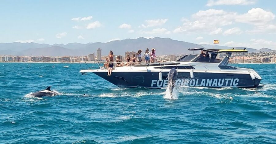 Fuengirola: Dolphin Watching by Yacht with Snacks and Drinks - Booking details worth knowing