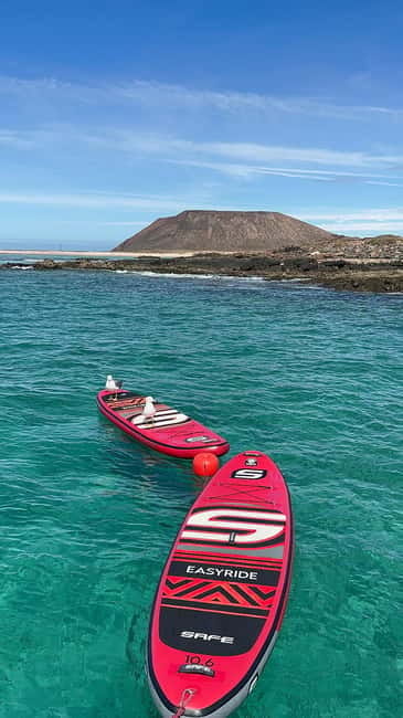 Fuerteventura: Dolphin watching and Lobo Island Combo Cruise - Isla de Lobos and the calm-water break