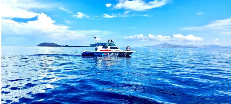 Fuerteventura: Dolphin watching and Lobo Island Combo Cruise - Should you book the BJ Fishing trip?