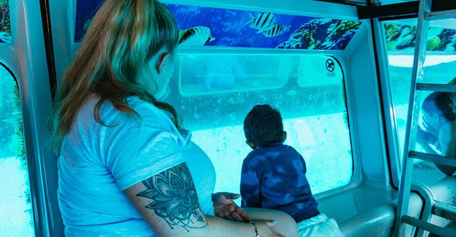Fuerteventura: Glass Bottom Boat Cruise with Lunch & Drinks - The glass-bottom viewing area