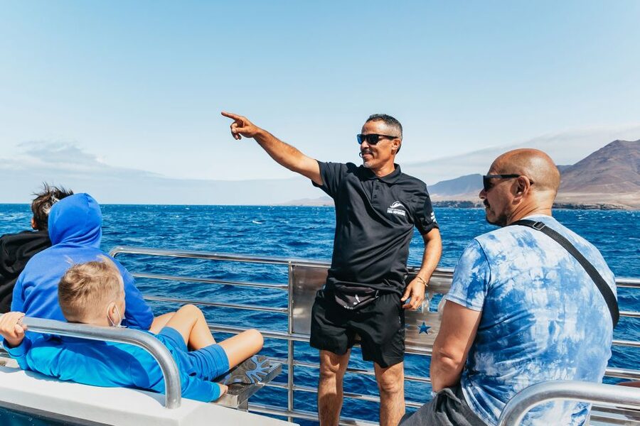 Fuerteventura: Glass Bottom Boat Cruise with Lunch & Drinks - How much value do you get for $88?