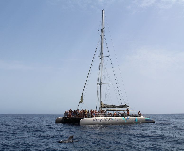 Fuerteventura: Magic Catamaran Trip with Food and Drinks - Should you book the Magic Catamaran trip?