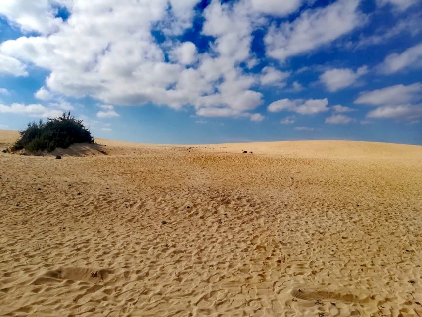 Fuerteventura: North of Fuerteventura for Cruise Passengers - El Cotillo: cliffs, surf, and the open Atlantic