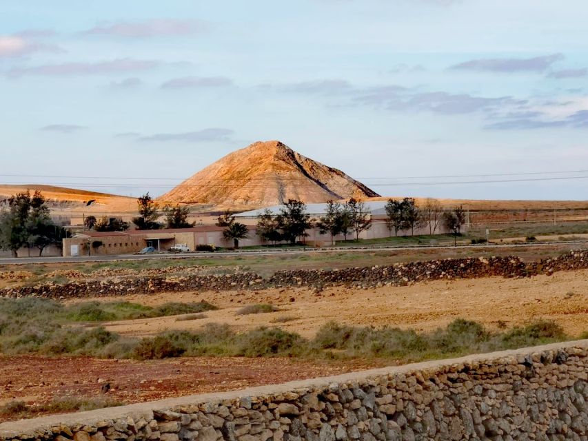 Fuerteventura: North of Fuerteventura for Cruise Passengers - My verdict: book it for variety, skip it for a slow beach day