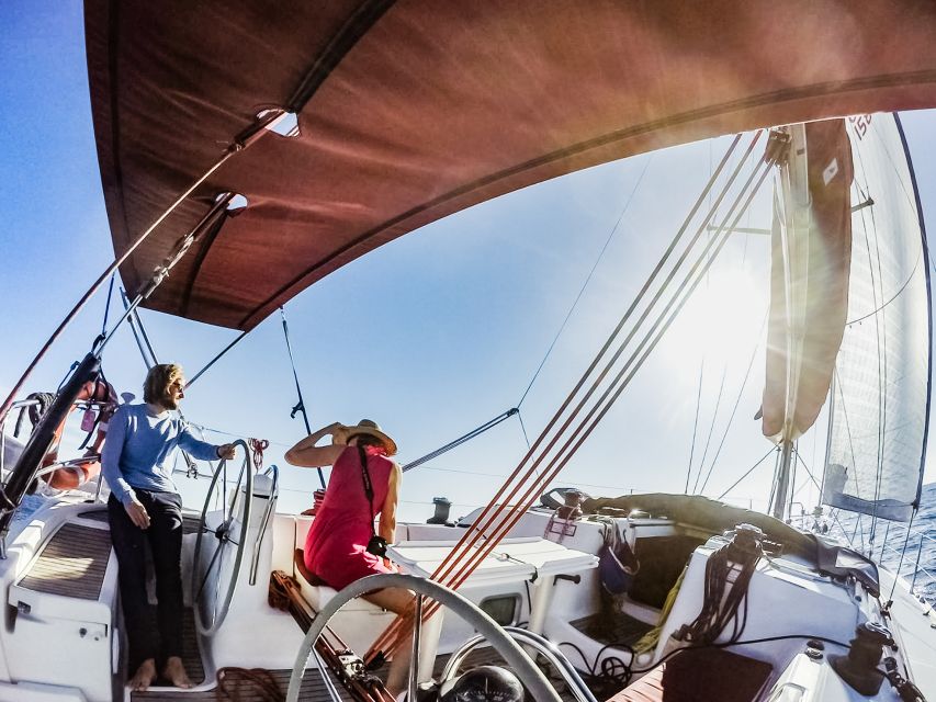Fuerteventura: Sailing with Snorkeling and Dolphin Watching - Is $104 good value?