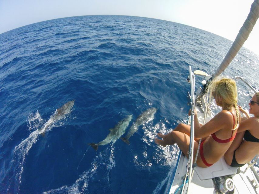 Fuerteventura: Sailing with Snorkeling and Dolphin Watching - Practical advice for a comfortable trip