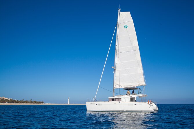 Fuerteventura: Small-Group Magic Deluxe Catamaran Cruise - Lunch, open bar, and the deluxe claim
