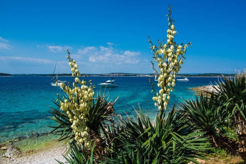 Full-Day Boat Trip, Cave Swim, lunch & Drinks - Medulin/Ceja - Grilled lunch served aboard Sandra