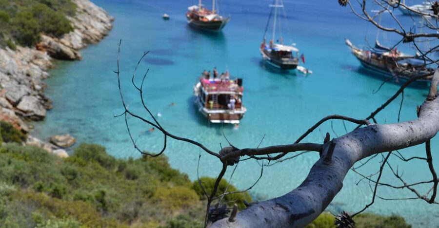 Full-Day Orak Island Boat Trip from Bodrum - Red Bay provides the first short swim