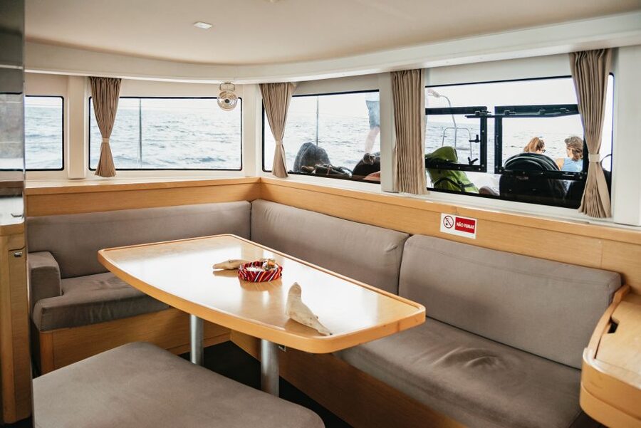 Funchal Bay: Dolphin & Whale Watch Luxury Catamaran Cruise - The relaxed sail back along Madeira’s coast