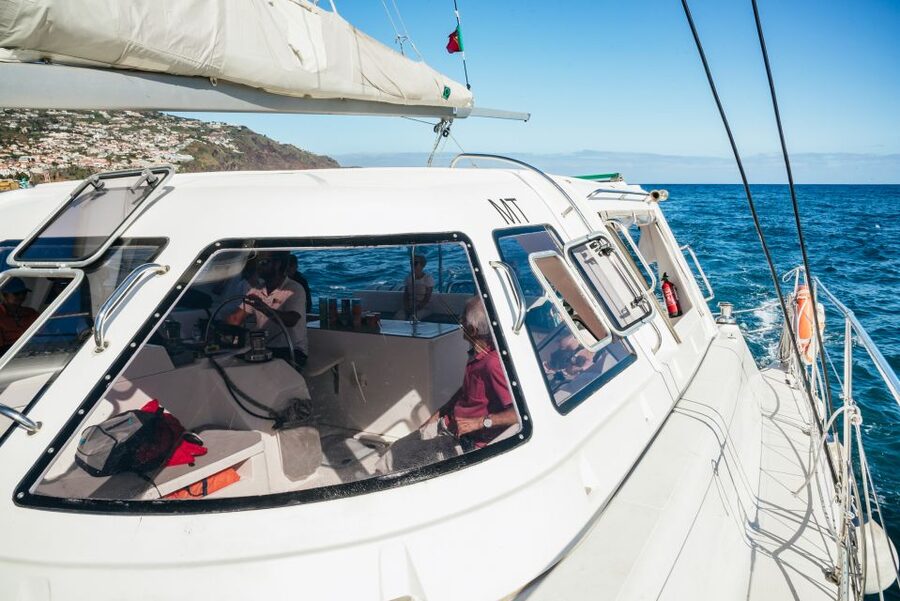 Funchal: Dolphin and Whale Watching by Luxury Catamaran - Leaving Funchal Marina from Pier 8
