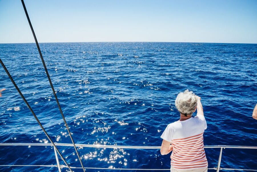 Funchal: Dolphin and Whale Watching by Luxury Catamaran - Watching dolphins and whales off Funchal