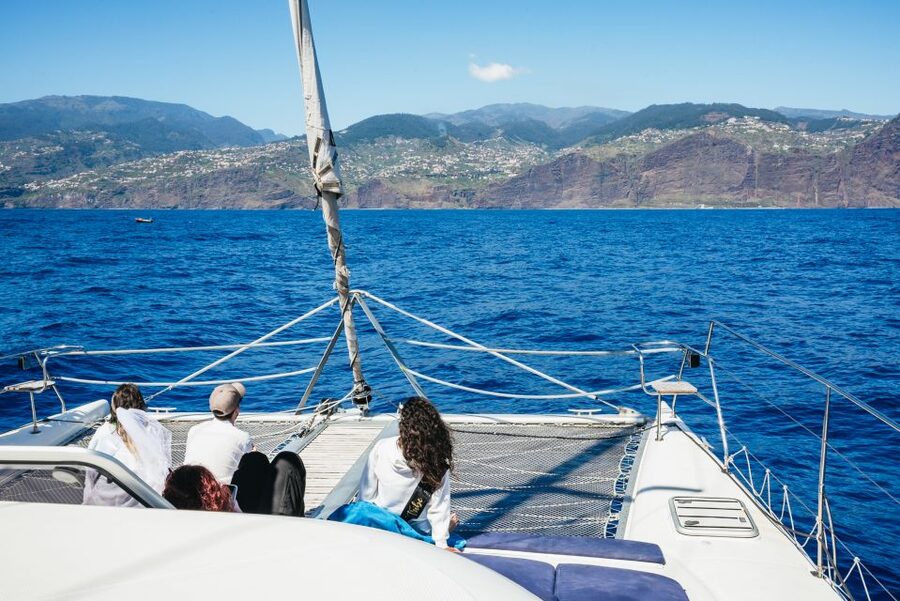 Funchal: Dolphin and Whale Watching by Luxury Catamaran - Why the guide can make or break the trip