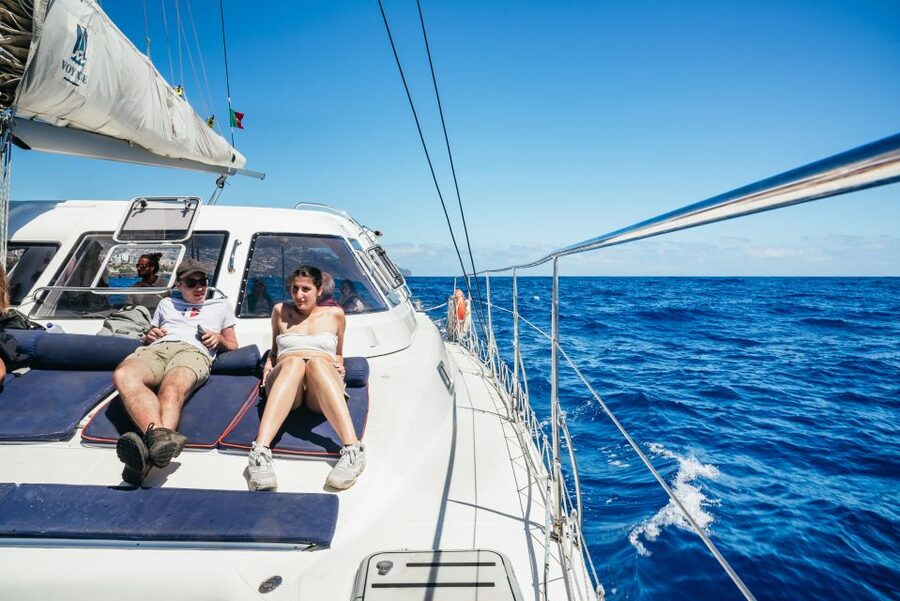 Funchal: Dolphin and Whale Watching by Luxury Catamaran - The return along Madeira’s coast