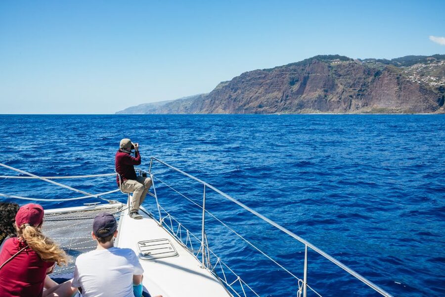 Funchal: Dolphin and Whale Watching by Luxury Catamaran - Is $47 a good value?