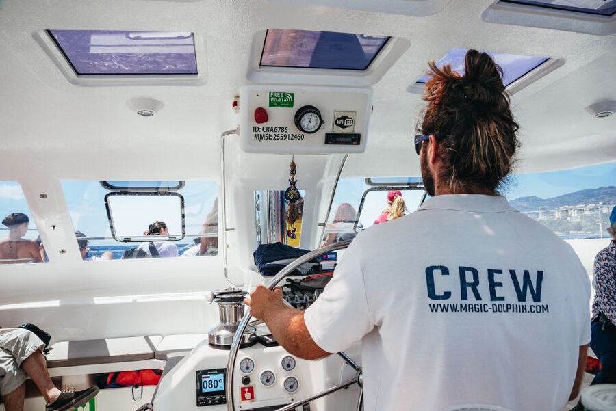Funchal: Dolphin and Whale Watching by Luxury Catamaran - Who will enjoy this most?