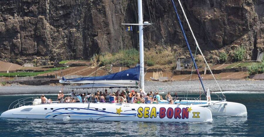 Funchal: Dolphin and Whale Watching Catamaran Cruise - Practical details that matter