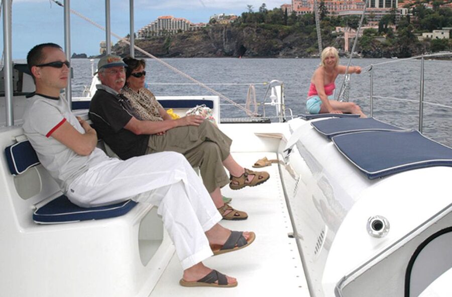 Funchal: Dolphin and Whale Watching Catamaran Cruise - Madeira from the water