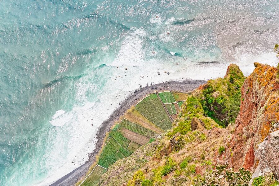 Funchal: Dolphin and Whale Watching Sailing Trip - A Relaxed Ride Back With a Drink