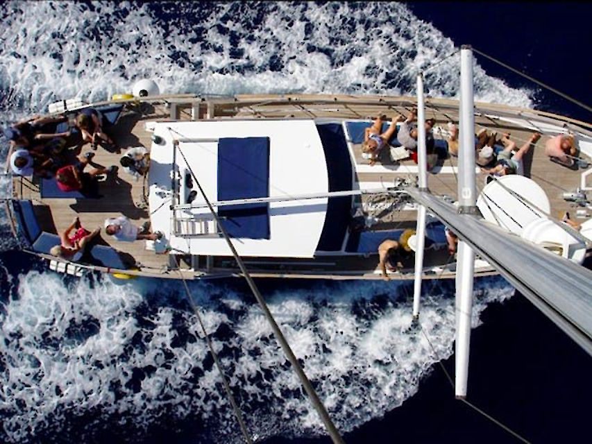 Funchal: Dolphin and Whale Watching Sailing Trip - What $47 Actually Gets You