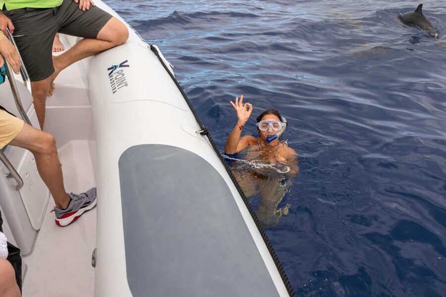 Funchal: RIB Whale Watching Cruise and Optional Dolphin Swim - A small boat with a big reason to go