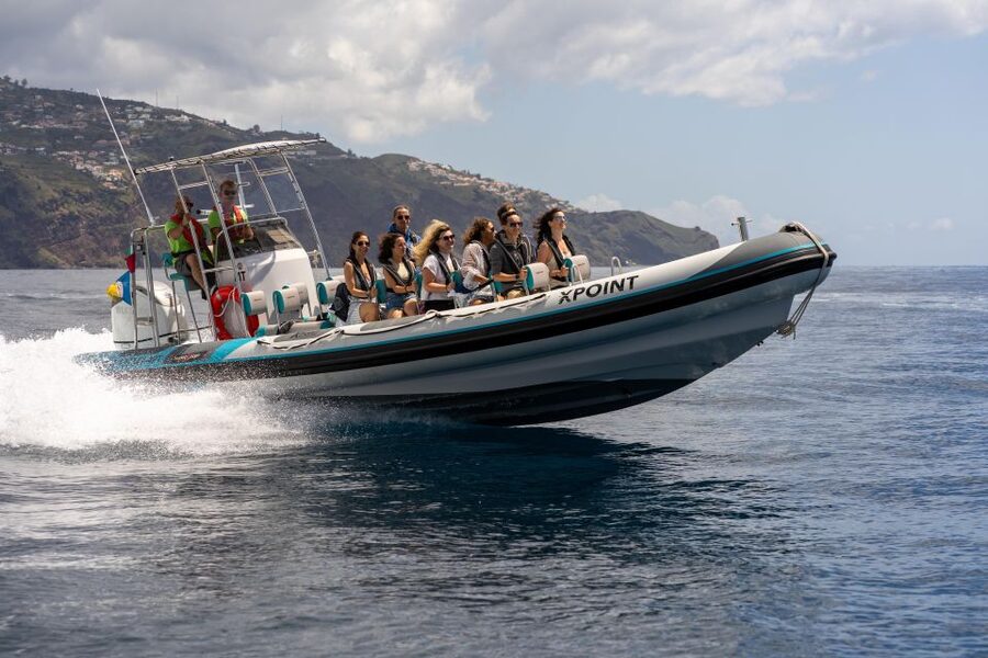 Funchal: RIB Whale Watching Cruise and Optional Dolphin Swim - Searching the water for dolphins and whales