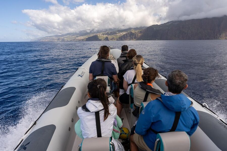 Funchal: RIB Whale Watching Cruise and Optional Dolphin Swim - Cabo Girao and the return along Madeira’s coast