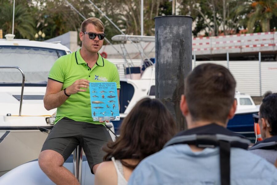Funchal: RIB Whale Watching Cruise and Optional Dolphin Swim - What $61 buys you