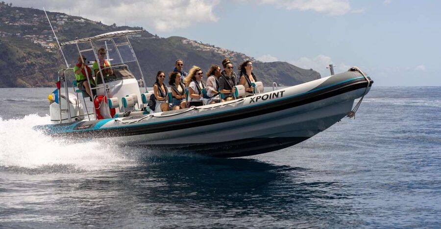 Funchal: RIB Whale Watching Cruise and Optional Dolphin Swim - Boarding in Funchal and getting ready
