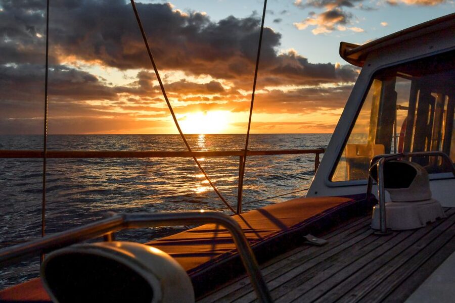 Funchal: Sunset Sailing Tour - Swimming beneath the 580-meter Cabo Girão cliff