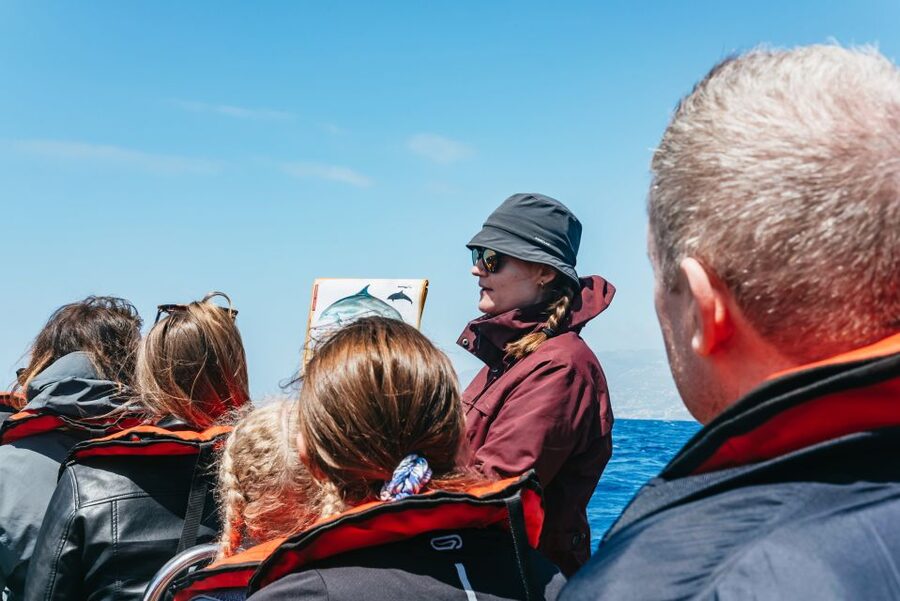 Funchal: Whale and Dolphin Watching Speed Boat Tour - What the speed boat feels like on the water