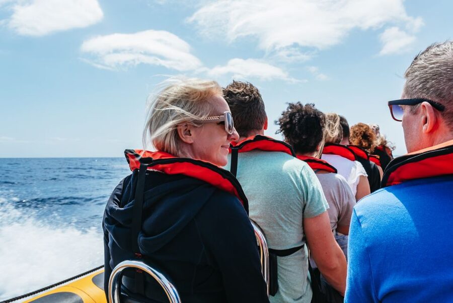 Funchal: Whale and Dolphin Watching Speed Boat Tour - Timing, comfort, and practical preparation