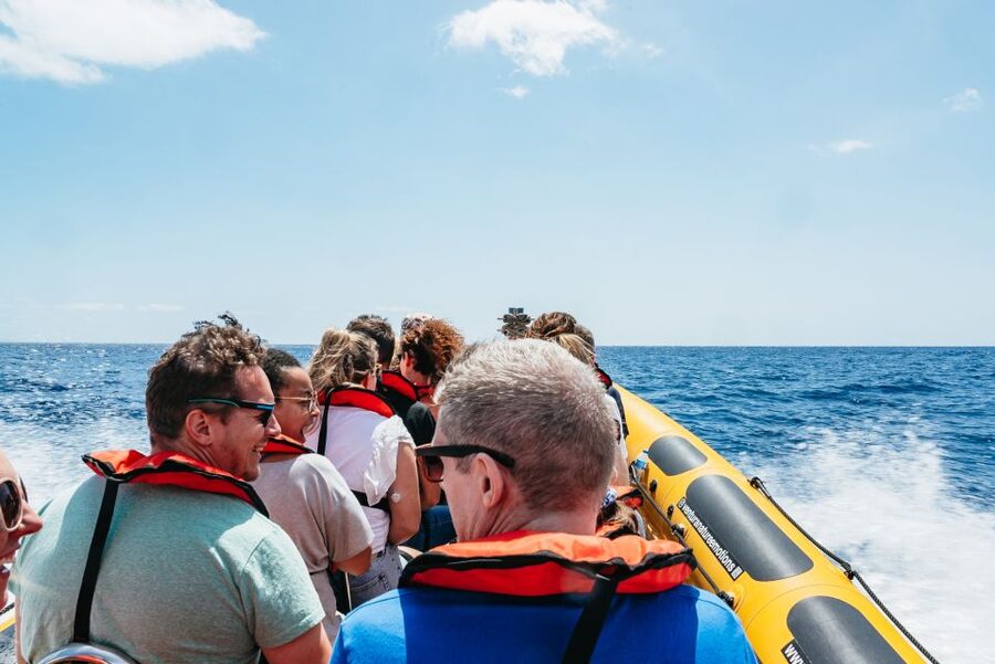 Funchal: Whale and Dolphin Watching Speed Boat Tour - Who will enjoy this Funchal whale tour?