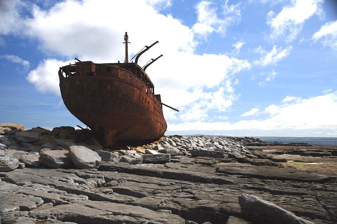 Galway to Inisheer Aran Islands, Cliffs of Moher and Boat Trip - Who will enjoy this day most