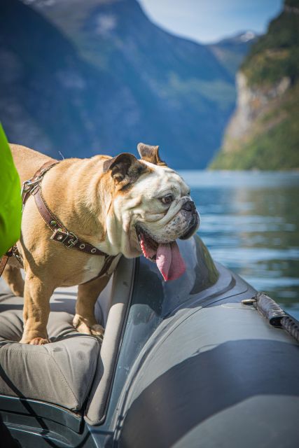 Geiranger: Guided Geirangerfjord Boat Tour - Is $88 a fair price for 75 minutes?