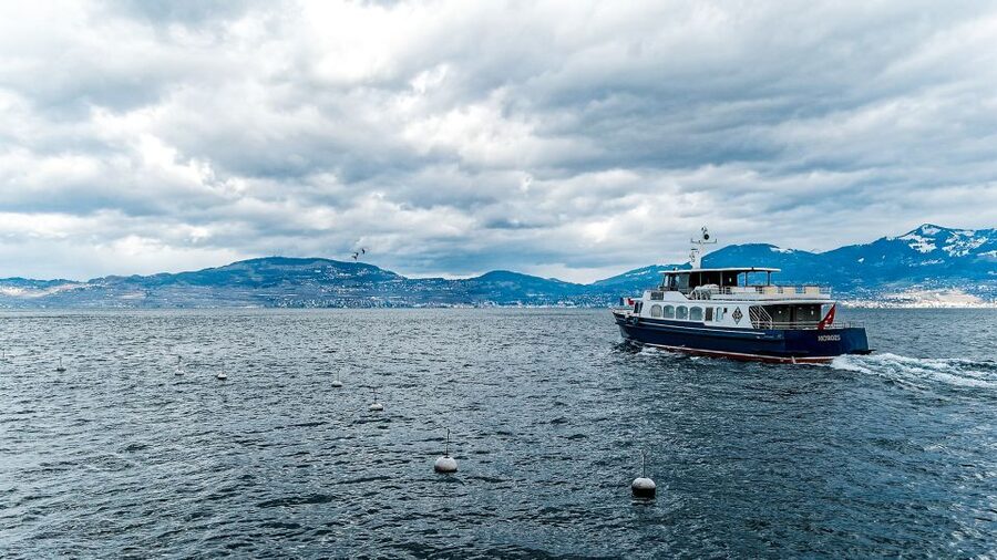 Geneva: 50-Minute Lake Geneva Cruise - Bellevue, Pointe à la Bise, and the quieter shoreline