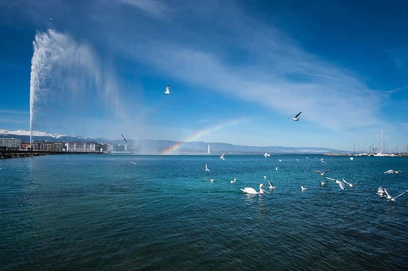 Geneva: Guided City Tour and Boat Cruise - At a glance