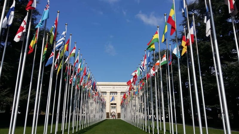 Geneva: Guided City Tour and Boat Cruise - Should you book the Geneva city tour and boat cruise?
